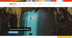 Desktop Screenshot of prodiveinternational.com